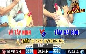 Trận 10 CPC6 7/10/2025