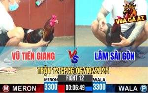 Trận 12 CPC6 6/10/2025