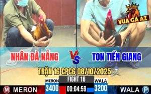 Trận 16 CPC6 8/10/2025