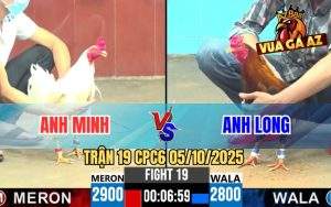 Trận 19 CPC6 5/10/2025