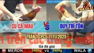 Trận 1 CPC5 7/11/2025 - Anh Cu Cà Mau Và Anh Duy Trí Tôn