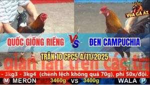 Trận 10 CPC5 4/11/2025 - Anh Quốc Giồng Riềng Và Anh Đen Campuchia