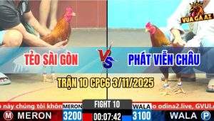 Trận 10 CPC6 3/11/2025 - Vàng Tàu Anh Tẻo Bị Siết Mấy Chân Bung Chạy