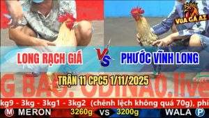 Trận 11 CPC5 1/11/2025 - Anh Long Rạch Giá Và Anh Phước Vĩnh Long