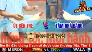 Trận 11 CPC5 17/11/2025 - Úa Xanh Tự Giận Đập Đầu Vô Vách Giãy Chết