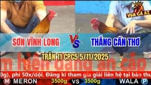 Trận 11 CPC5 5/11/2025 - Anh Sơn Vĩnh Long Và Anh Thắng Cần Thơ