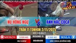 Trận 11 TonHon 2/11/2025 - Bông Chồng Độ Đá Bướm Hiệu Anh Nu Bay Bồ