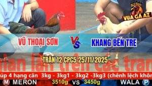 Trận 12 CPC5 25/11/2025 - Gà Bướm Anh Khang Bến Tre Có Chân Xạo Lờ