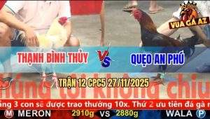 Trận 12 CPC5 27/11/2025 - Bướm Anh Thạnh Đâm Điều Không Kịp Dỡ Giò