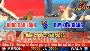 Trận 12 CPC5 9/11/2025 - Anh Dũng Cao Lãnh Và Anh Duy Kiên Giang