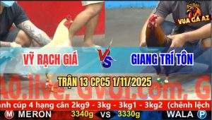 Trận 13 CPC5 1/11/2025 - Anh Vỹ Rạch Giá Và Anh Giang Trí Tôn