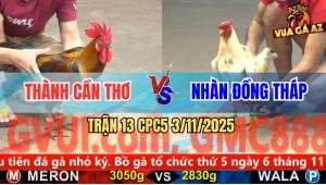 Trận 13 CPC5 3/11/2025 - Anh Thành Cần Thơ Và Anh Nhàn Đồng Tháp