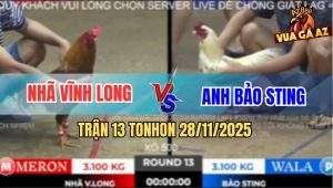 Trận 13 TonHon 28/11/2025 - Bướm Hiệu Bảo Sting Dính Chân Xui Bay 500