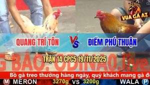Trận 14 CPC5 19/11/2025 - Gà Vàng Anh Điểm Chạy Xe Đá Bướm Ói Máu