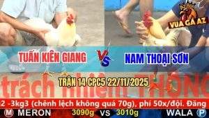 Trận 14 CPC5 22/11/2025 - Bướm Đá Đầu Cần Hạ Úa Trong Nốt Nhạc Đầu