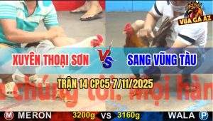 Trận 14 CPC5 7/11/2025 - Anh Xuyên Thoại Sơn Và Anh Sang Vũng Tàu