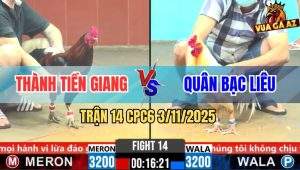 Trận 14 CPC6 3/11/2025 - Gà Úa Anh Quân Dính Cây Lưng Lật Xe Hết Múa