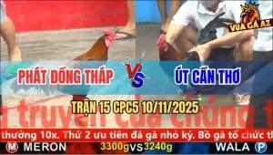 Trận 15 CPC5 10/11/2025 - Anh Phát Đồng Tháp Và Anh Út Cần Thơ