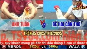 Trận 15 CPC5 1/11/2025 - Anh Tuấn Và Anh Bé Hai Cần Thơ