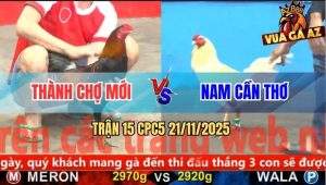 Trận 15 CPC5 21/11/2025 - Điều Anh Thành Vô Ẩu Gục Ngã Trong Biển Máu