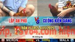 Trận 15 CPC5 4/11/2025 - Anh Lập Tân Phú Và Anh Cường Kiên Giang