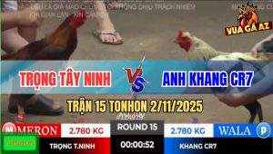 Trận 15 TonHon 2/11/2025 - Điều Đá Ngay Ông Địa Chuối Té Xòe Đuôi