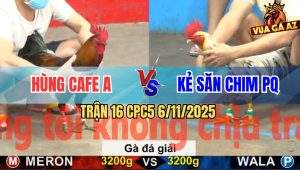 Trận 16 CPC5 6/11/2025 - Anh Hùng Cafe A Gặp Kẻ Săn Chim Phú Quốc