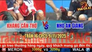 Trận 16 CPC5 9/11/2025 - Anh Khang Cần Thơ Và Anh Nho An Giang