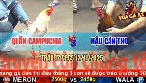 Trận 17 CPC5 17/11/2025 - Điều Chân Xanh Nuốt Ói Phản Ăn 2 Biện Ra Đảo