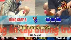 Trận 18 CPC5 20/11/2025 - Anh Hùng Cafe B Gặp Anh Tài Trí Tôn