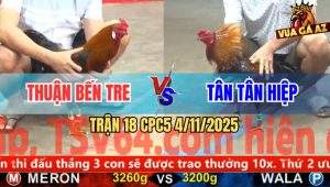 Trận 18 CPC5 4/11/2025 - Anh Thuận Bến Tre Và Anh Tân Tân Hiệp