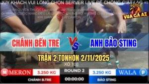 Trận 2 TonHon 2/11/2025 - Vàng Chân Xanh Anh Bảo Sting Đá Bo Quá Tươi