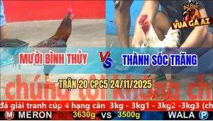 Trận 20 CPC5 24/11/2025 - Điều Cọp Anh Mười Đá Bướm Quẹo Cổ Chết Tươi