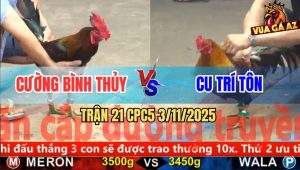 Trận 21 CPC5 3/11/2025 - Anh Cường Bình Thủy Và Anh Cu Trí Tôn