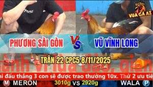 Trận 22 CPC5 8/11/2025 - Anh Phương Sài Gòn Và Anh Vũ Vĩnh Long