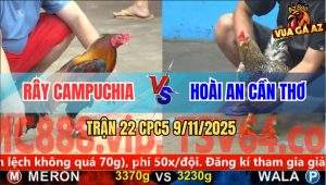 Trận 22 CPC5 9/11/2025 - Anh Rây Campuchia Và Anh Hoài An Cần Thơ