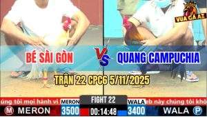 Trận 22 CPC6 5/11/2025 - Gà Điều Cánh Campuchia Hốt Trọn Cái Xổ Nửa Tỷ