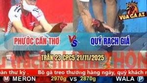 Trận 23 CPC5 21/11/2025 - Điều Cọp Anh Phước Tiễn Xanh Về Với Ông Bà