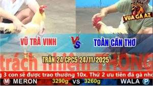 Trận 24 CPC5 24/11/2025 - Gà Bướm Anh Toàn Đâm Cựa Như Máy Điện