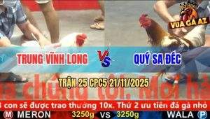 Trận 25 CPC5 21/11/2025 - Camelo Anh Quý Sa Đéc Vô Kính Đá Quá Lực