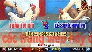 Trận 25 CPC5 6/11/2025 - Anh Toàn Tài Xỉu Gặp Kẻ Săn Chim Phú Quốc