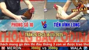 Trận 26 CPC5 18/11/2025 - Bướm Anh Tiền Nhỏ Mà Chấp Ngông Bị Đá Xì Cơm