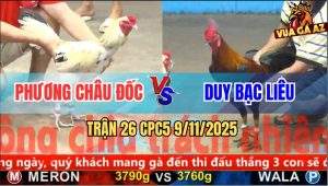 Trận 26 CPC5 9/11/2025 - Anh Phương Châu Đốc Và Anh Duy Bạc Liêu