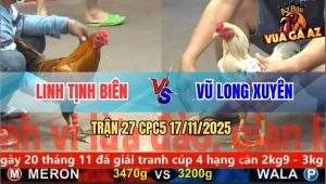 Trận 27 CPC5 17/11/2025 - Gà Khét Đâm Bướm Anh Vũ Chạy Bay Bồ