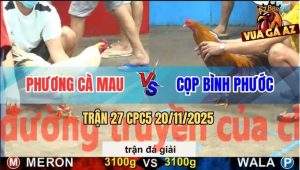 Trận 27 CPC5 20/11/2025 - Anh Phương Cà Mau Gặp Anh Cọp Bình Phước