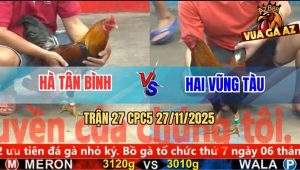 Trận 27 CPC5 27/11/2025 - Phút 90 Điều Anh Hà Hết Pin Đứng Gục Đầu