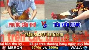Trận 28 CPC5 15/11/2025 - Anh Phước Cần Thơ Và Anh Tiền Kiên Giang