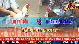 Trận 28 CPC5 18/11/2025 - Khúc Cuối Gà Que Để Cây Lưng Chốt Hạ Gà Bướm