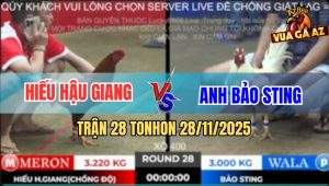 Trận 28 TonHon 28/11/2025 - Điều Chồng Độ Hạ Úa Hiệu Bảo Sting Xổ 400