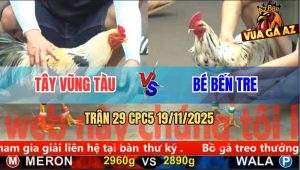 Trận 29 CPC5 19/11/2025 - Gà Chuối Anh Tây Phút 90 Gạt Cân Tính Tiền